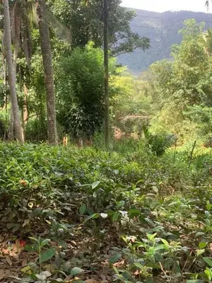 Land For Sale In Pelmadulla