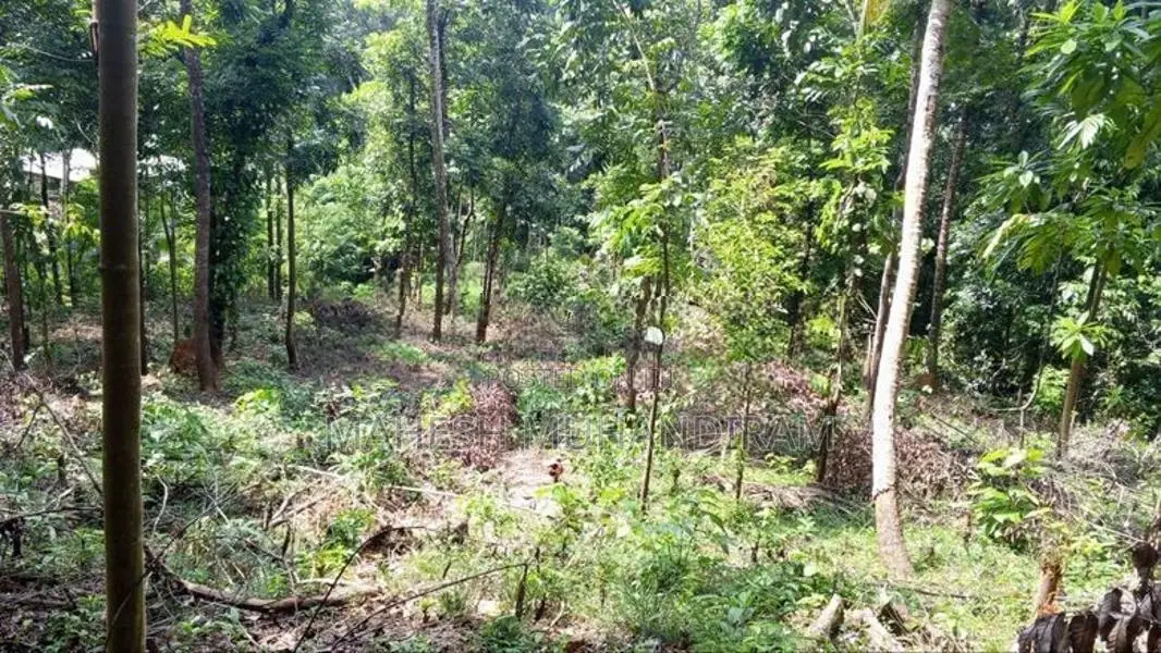 118 perches ඉඩමක් විකිණීමට - රබුක්කන