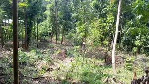 118 perches ඉඩමක් විකිණීමට - රබුක්කන