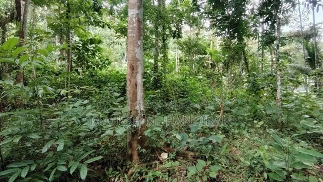 118 perches ඉඩමක් විකිණීමට - රබුක්කන
