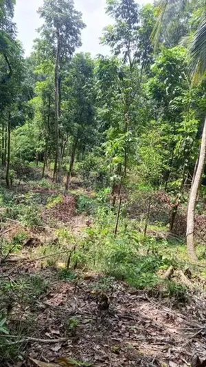 118 perches ඉඩමක් විකිණීමට - රබුක්කන