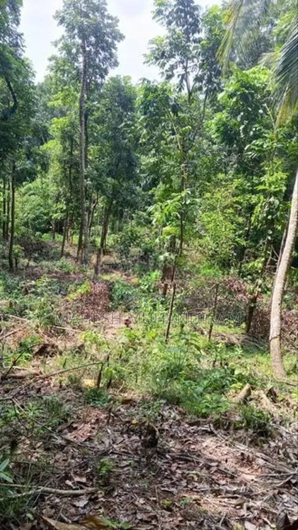 118 perches ඉඩමක් විකිණීමට - රබුක්කන
