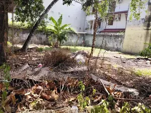 Super Land for Sale Athulkotte