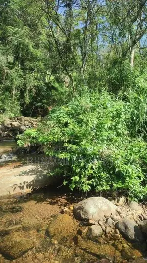 Land for Sale in Haputale