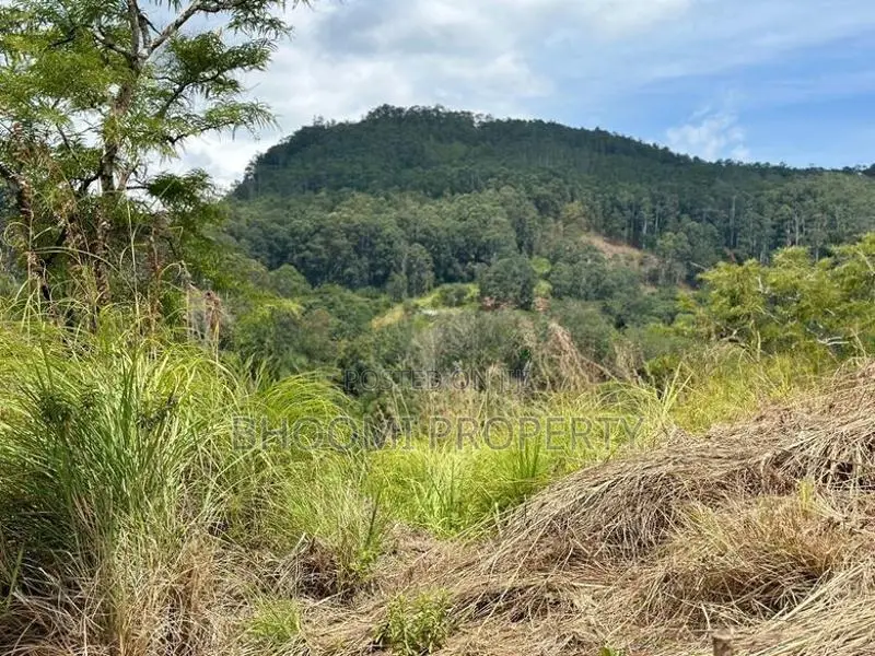Land for Sale in Ella