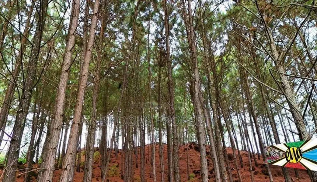 Natural Land Plots for Sale in Ella