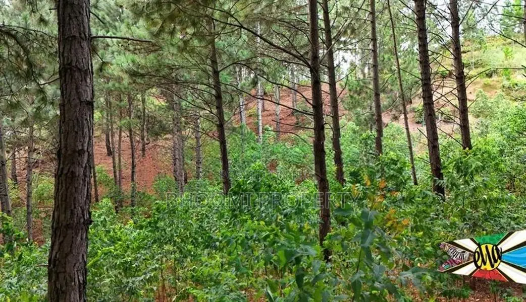 Natural Land Plots for Sale in Ella