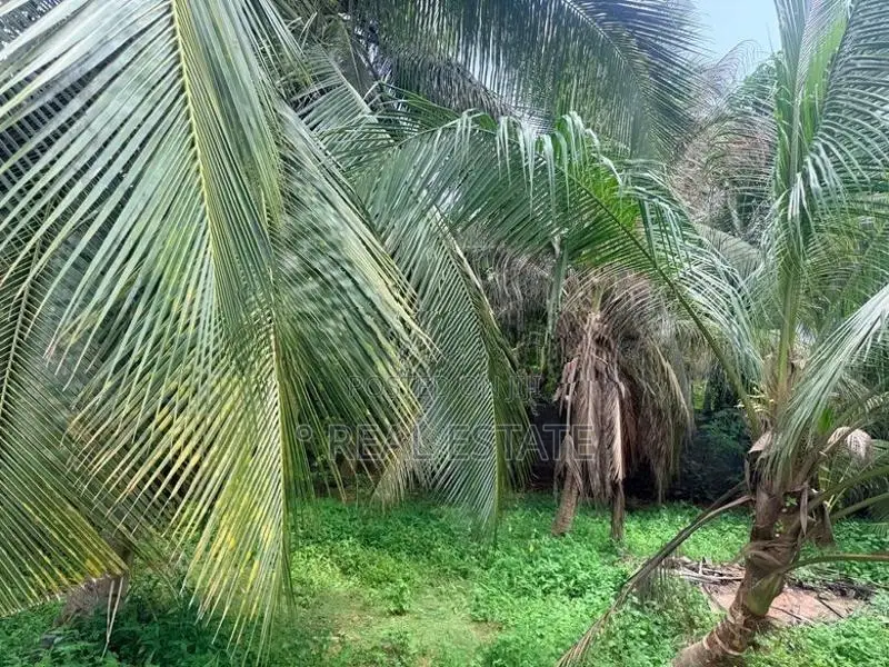Land for sale in Ja Ela (Araliya Garden) - REF 39