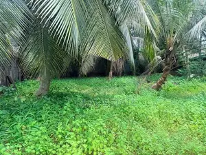 Land for sale in Ja Ela (Araliya Garden) - REF 39