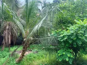 Land for sale in Ja Ela (Araliya Garden) - REF 39