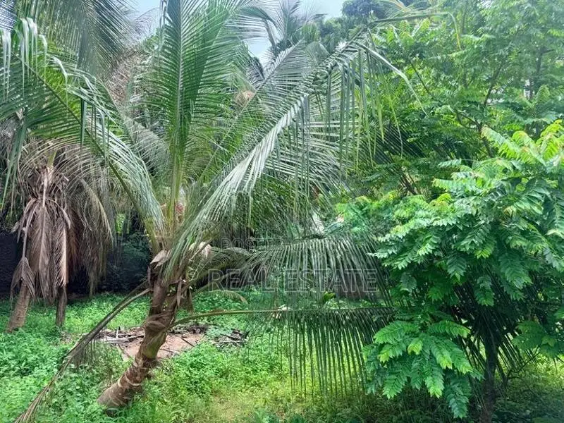 Land for sale in Ja Ela (Araliya Garden) - REF 39