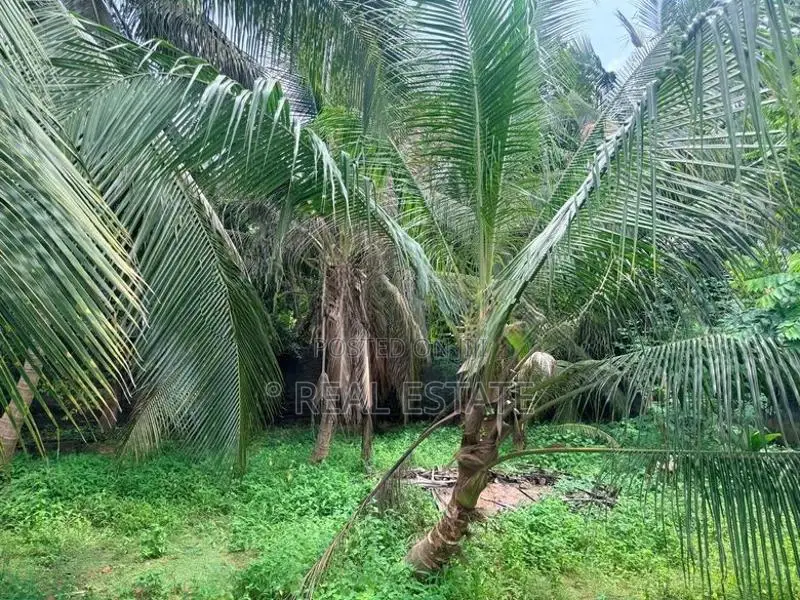 Land for sale in Ja Ela (Araliya Garden) - REF 39