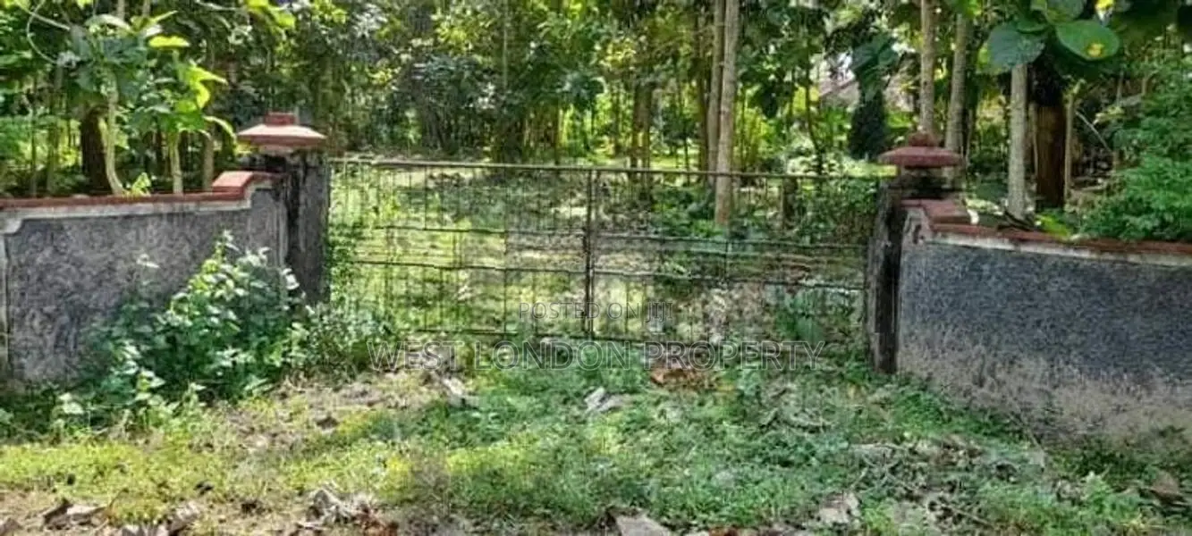 Beliattta– 146-Perch Land for Sale