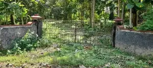 Beliattta– 146-Perch Land for Sale