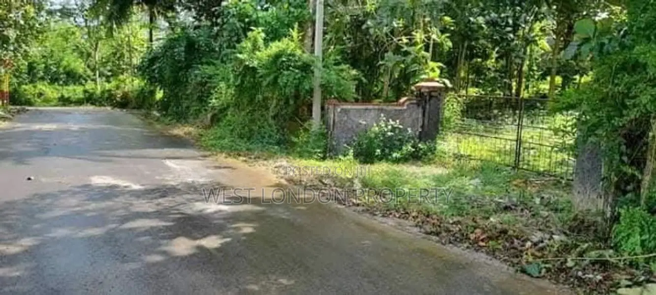 Beliattta– 146-Perch Land for Sale
