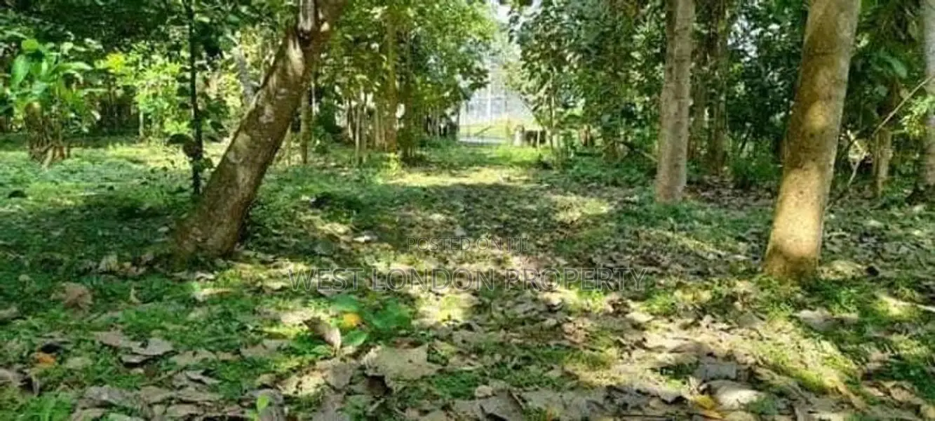 Beliattta– 146-Perch Land for Sale