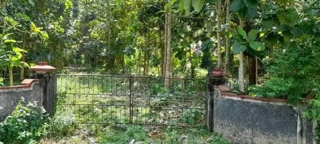 Beliattta– 146-Perch Land for Sale