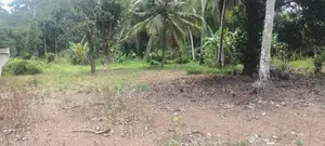 10 Perches Land for Sale Pliliyandala, Mawitthara