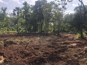 අනුරාධපුර පරසන්ගස්වැව ප්‍රදේශයේ පර්.49 ක හිස් ඉඩමක් විකිණීමට ඇත.