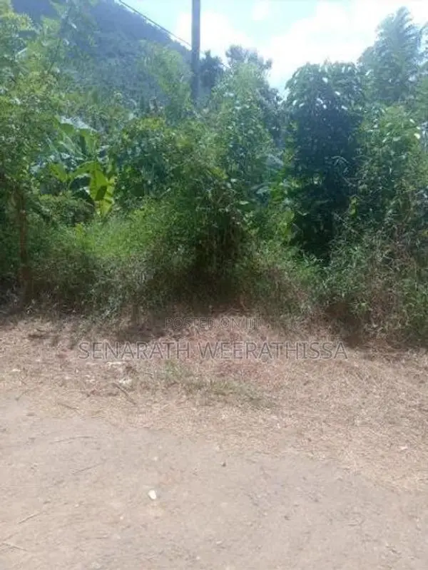 Land for Sale in Rambukkana