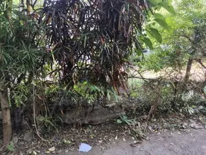 Prime Land for Sale in Attidiya