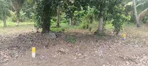 10 Perches Land for Sale Pliliyandala, Mawitthara