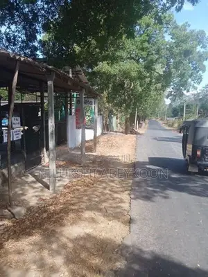 ලීමා වී මෝල ඇතුළු සම්පූර්ණ ඉඩම විකිණීමට ගිරාඳුරුකෝට්ටේ