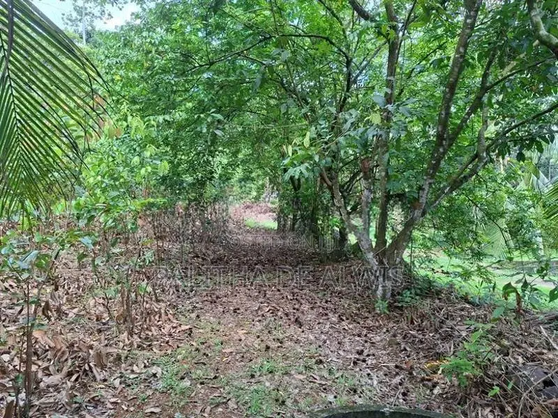 Land for Sale in Bandaragama - Paragasthota