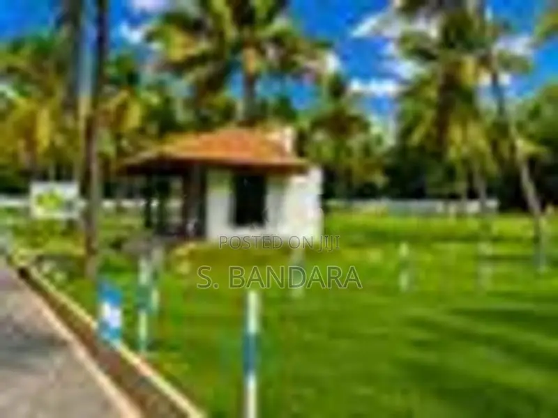 Malsiripura Land for Sale M04