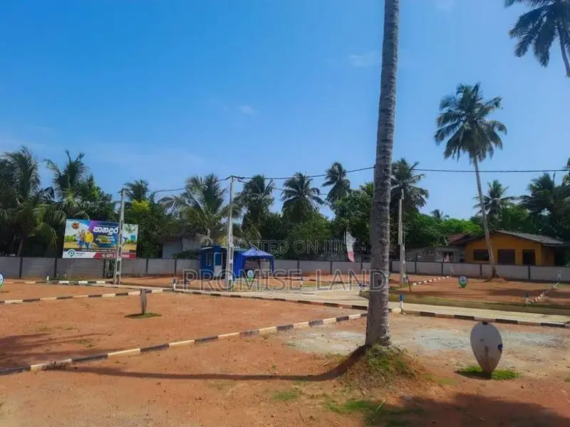 Luxury Lands Walana T01