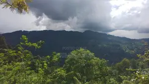 Land for Sale in Bandarawela Kontehela
