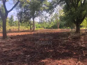 අනුරාධපුර පරසන්ගස්වැව ප්‍රදේශයේ පර්.49 ක හිස් ඉඩමක් විකිණීමට ඇත.