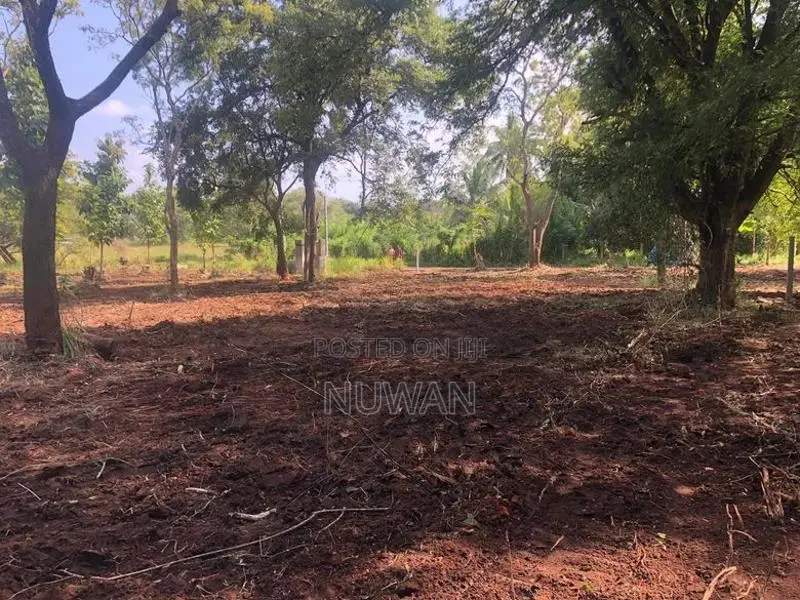 අනුරාධපුර පරසන්ගස්වැව ප්‍රදේශයේ පර්.49 ක හිස් ඉඩමක් විකිණීමට ඇත.