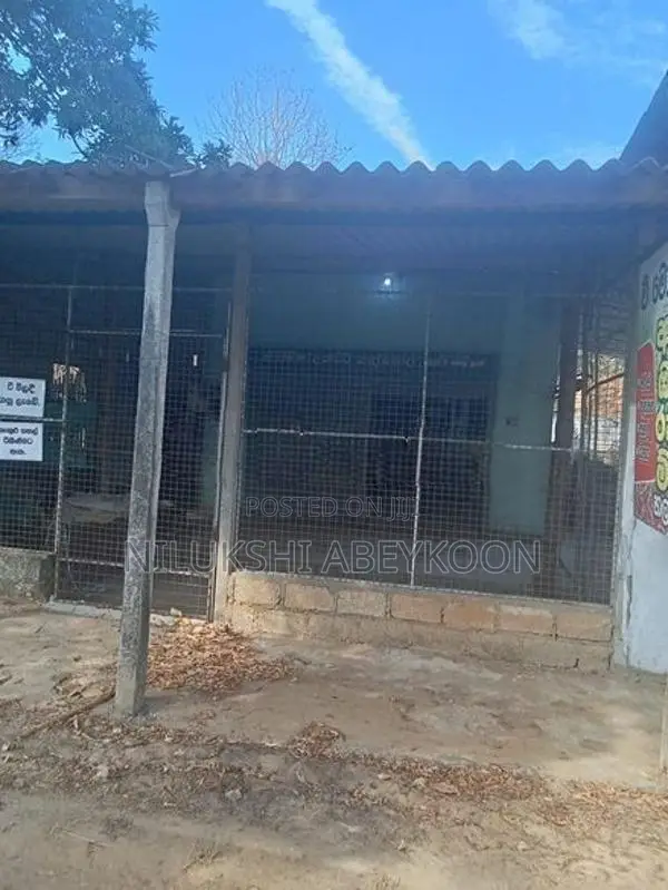 ලීමා වී මෝල ඇතුළු සම්පූර්ණ ඉඩම විකිණීමට ගිරාඳුරුකෝට්ටේ