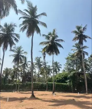 Land for Sale - Ja Ela