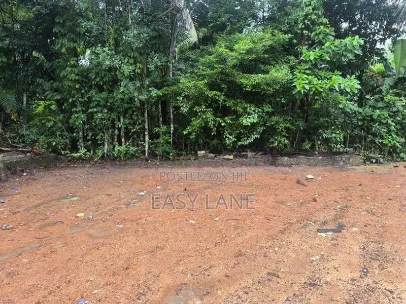 Land for Sale in Horana / Ca 13677