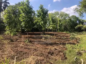 අනුරාධපුර පරසන්ගස්වැව ප්‍රදේශයේ පර්.49 ක හිස් ඉඩමක් විකිණීමට ඇත.