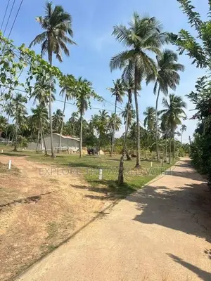 Land for Sale - Ja Ela