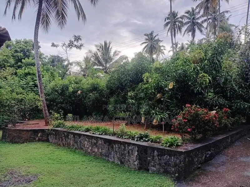 House For Sale In Narammala