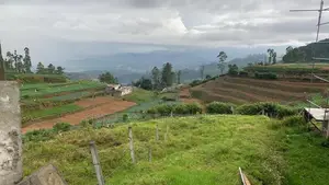 Lands for Sale in Ambewela