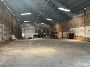 Fibre Coco Peat Factory for Sale in Kuliyapitiya