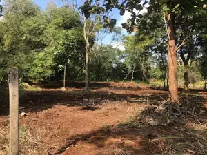 අනුරාධපුර පරසන්ගස්වැව ප්‍රදේශයේ පර්.49 ක හිස් ඉඩමක් විකිණීමට ඇත.