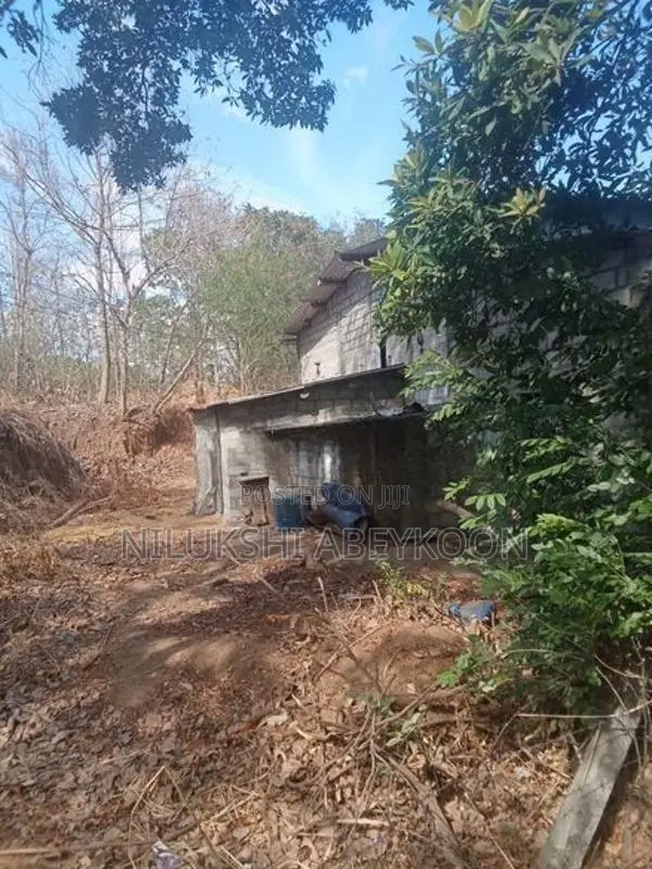 ලීමා වී මෝල ඇතුළු සම්පූර්ණ ඉඩම විකිණීමට ගිරාඳුරුකෝට්ටේ