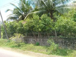 Land for Sale in Bandaragama - Paragasthota