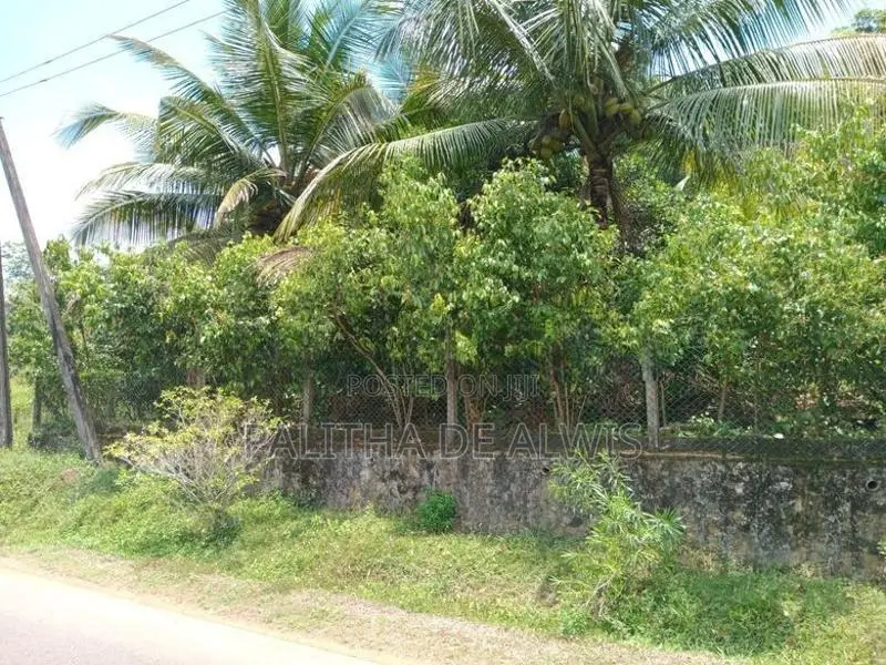 Land for Sale in Bandaragama - Paragasthota