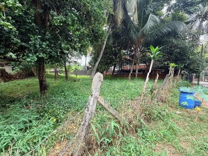 Prime Land for Sale – Boralesgamuwa