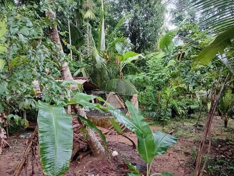 House For Sale In Narammala
