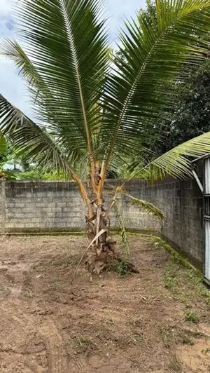 රාගමින් වටිනා ඉඩමක් විකිණීමට