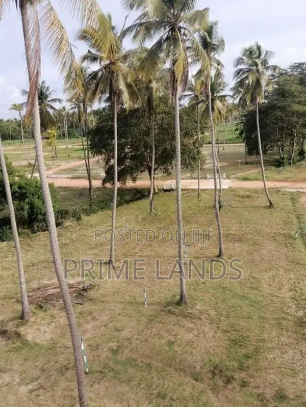 වාරියපොල නගරයෙන්ම නේවාසික කලාපයෙන් අගනා ඉඩමක්