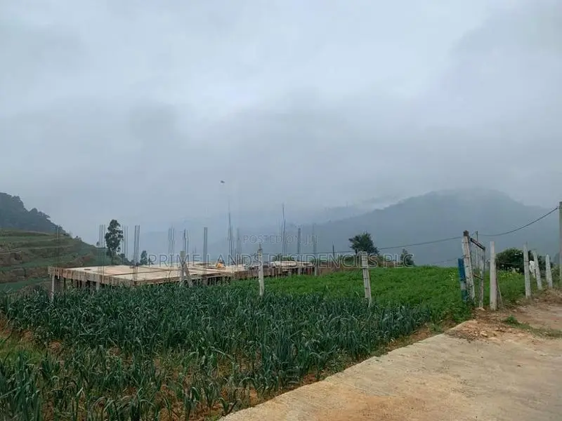 Lands for Sale in Ambewela